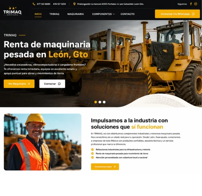 diseñador páginas web Aguascalientes