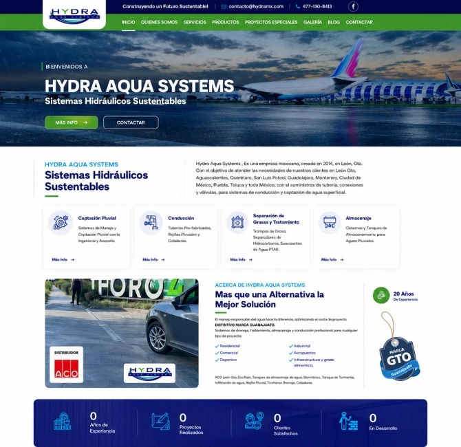 diseñador páginas web Aguascalientes