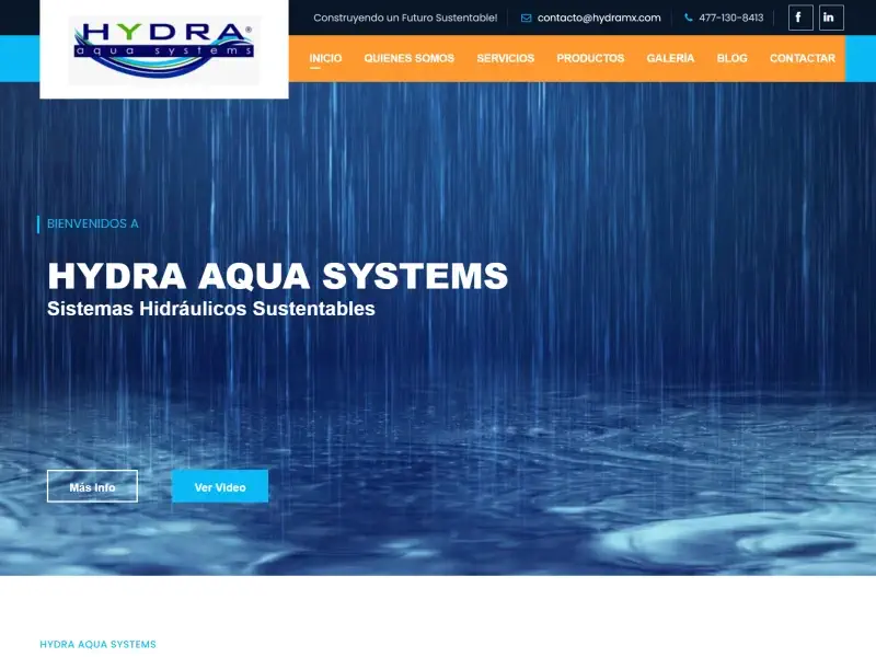 paginas web tienda en linea aguascalientes